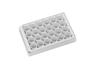 24-Well Tissue Culture Treated Assay Plate, White, Clear Bottom