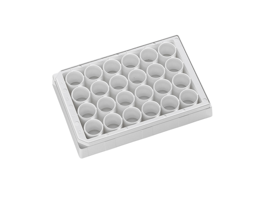 24-Well Tissue Culture Treated Assay Plate, White, Clear Bottom